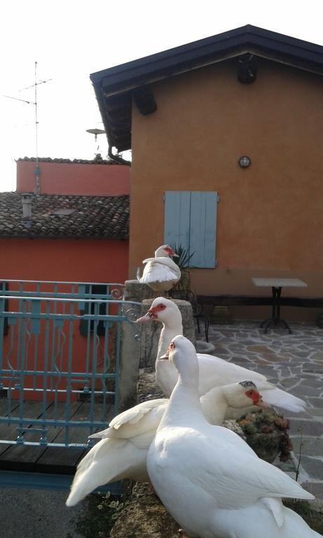 Agriturismo Il Gelso Traversetolo Eksteriør billede