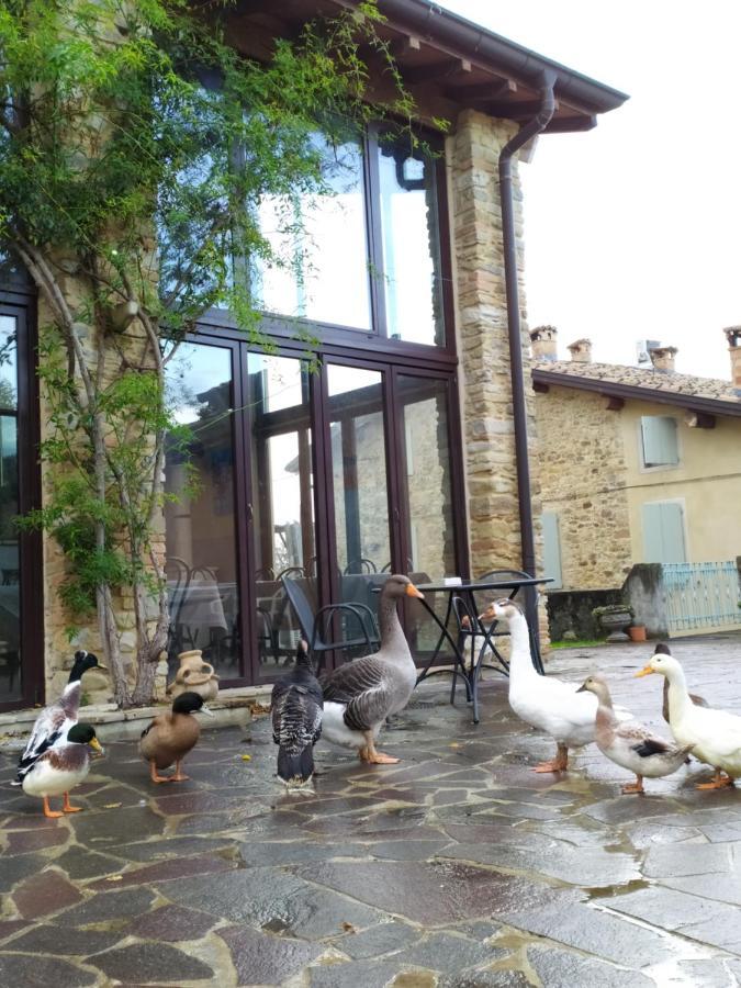 Agriturismo Il Gelso Traversetolo Eksteriør billede